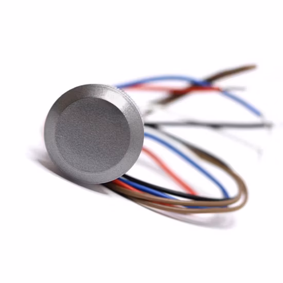 Extérieur étanche IP67 Wg26/34 125kHz Em Card Mini lecteur de carte d'identité RFID Lf